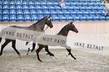 181754_kbb_01_Z094210.JPG