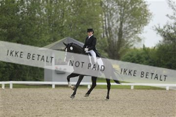 139835_sg_02_IMG_8619.JPG