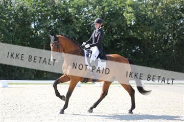 163526_mlm_01_IMG_1462.JPG