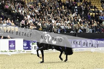 182194_kbb_03_Z092148.JPG