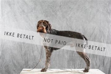 128239_le_ 06_0022.JPG