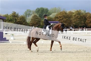 181923_mtp_03_R62_7303.JPG