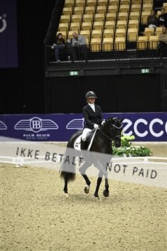 182194_kbb_01_Z096357.JPG