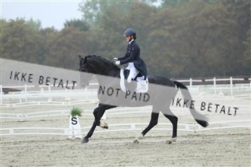 181923_mtp_03_R62_7739.JPG