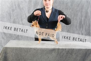 128239_le_kort_ 01_0367.JPG