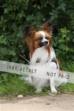 130370_se_01_IMG_5315.JPG