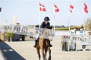 181332_kbb_01_6II3576.JPG