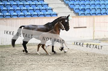 181754_kbb_01_Z093238.JPG
