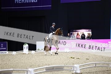 182194_avh_07_4090.JPG