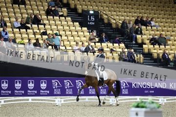 182194_mlm_02_R62_0245.JPG
