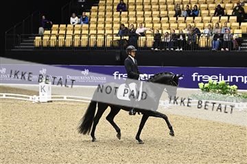 182194_kbb_03_Z091273.JPG
