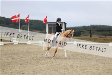 181894_mtp_04_R62_3381.JPG