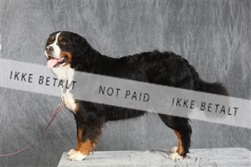 130054_le_ 03_0331.JPG