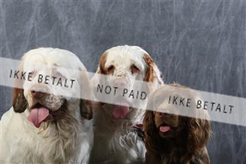 129608_le_ 01_0714.JPG