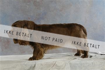 5493_sme _03__MG_9796.JPG