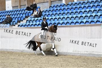182241_kbb_01_Z094691.JPG
