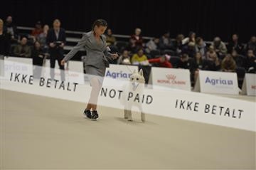 173092_bkn_01__D042296.JPG