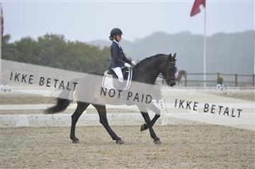 169624_kbb_01__KBB7990.JPG