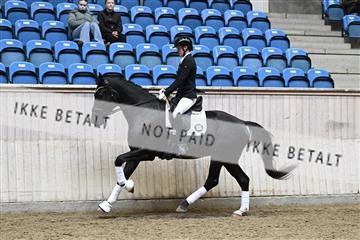 182241_kbb_01_Z095074.JPG