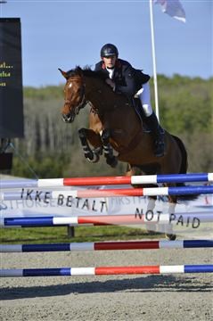 139644_abo_02__AB14882.JPG