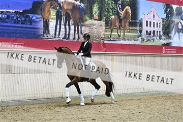182241_kbb_01_Z095272.JPG
