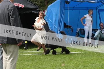 130370_tl_01_IMG_7165.JPG