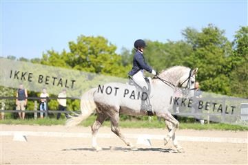 168732_mtp_01_3M5A8422.JPG