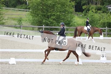 172030_mtp_01_3M5A1537.JPG