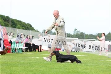 181564_rin_02_R62_1304.JPG