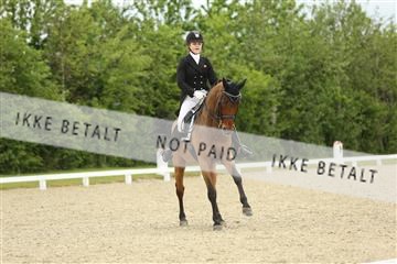 139835_sg_01_IMG_7327.JPG