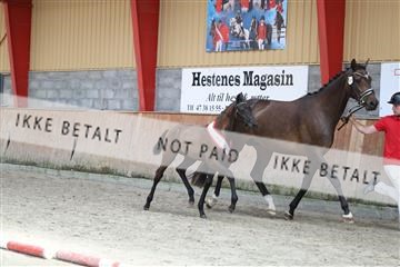 181868_mtp_04_R62_6458.JPG