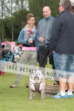 135379_tl_02_IMG_9248.JPG