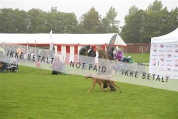 182009_kar_01__62_5637.JPG