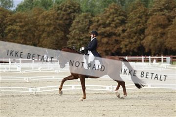 181923_mtp_03_R62_7294.JPG