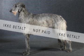 132082_le_ 01_IMG_0852.JPG