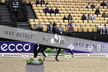 182194_kbb_03_Z099878.JPG