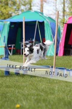 134871_ms_02_IMG_3102.JPG
