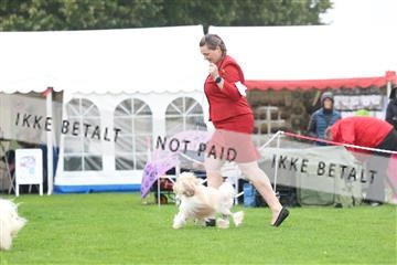 182009_rin_02_R62_0664.JPG