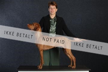 132082_le_ 01_IMG_0704.JPG