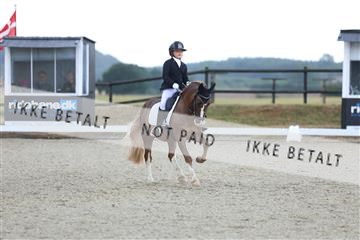 181894_mtp_05_R62_4243.JPG