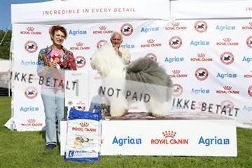 181564_kar_01__62_8177.JPG