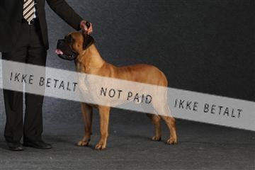 132082_le_ 01_IMG_1593.JPG