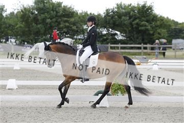 166078_rhj_01__J7R3391.JPG