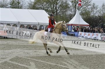 139644_abo_05__AB19882.JPG