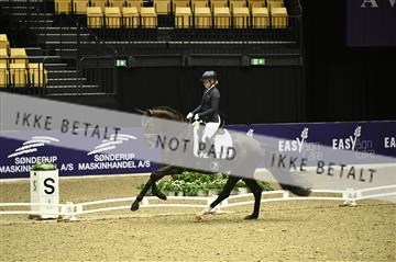 182194_kbb_01_Z095333.JPG