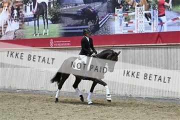 182241_kbb_01_Z093226.JPG