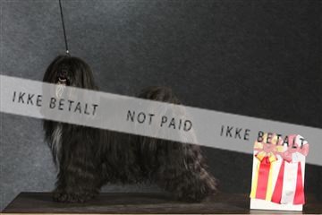 132082_le_ 01_IMG_1534.JPG