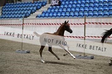 181754_kbb_01_Z093686.JPG