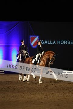 144624_kuo_01_KCL_9744.JPG