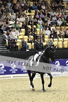 182194_kbb_03_Z092275.JPG